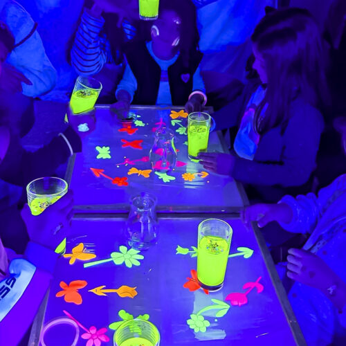 Atelier Fluo 700 Atelier Fluo 700
